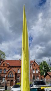 laser_pico_mylar_6 (1)