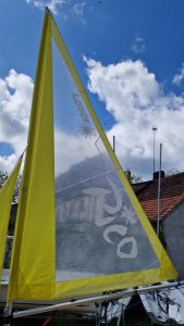 laser_pico_mylar_6 (12)